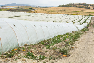 Scenic view of field