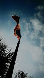 Bird against sky at sunset