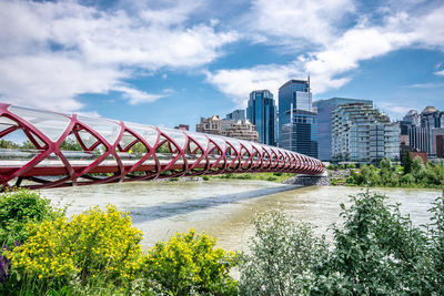 Arch bridge over river by buildings against sky