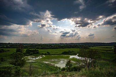 Scenic view of field against sky