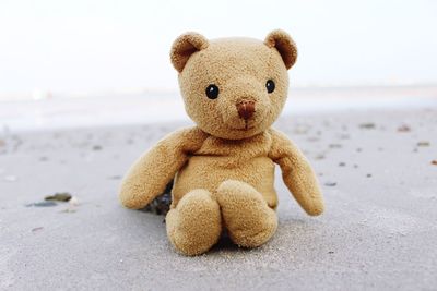 Close-up of teddy bear