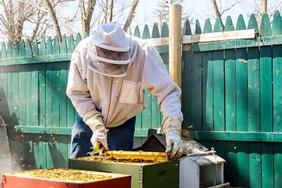 Beekeeper wearing protective workwear at work