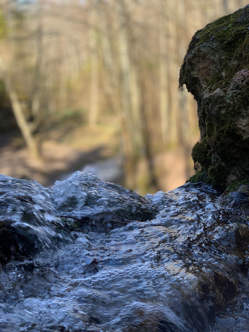 flowing water, rock, motion, rock - object, day, solid, water, nature, forest, no people, tree, river, flowing, outdoors, waterfront, focus on foreground, land, beauty in nature, close-up, stream - flowing water