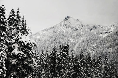 Scenic view of snow covered mountains against clear sky