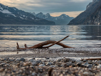 Scenic view of lake by snowcapped mountains against sky