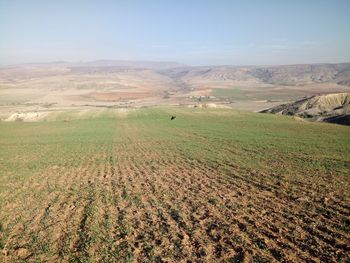 Scenic view of agricultural field against sky