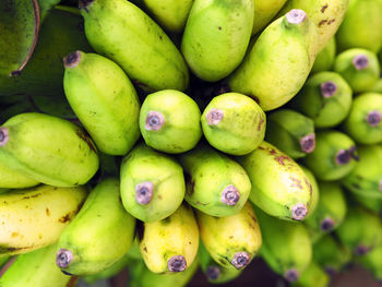 Close-up of grapes