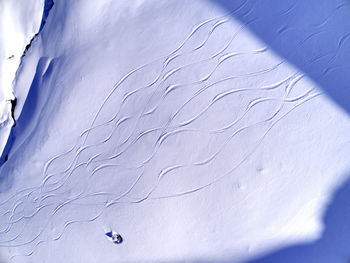 Low angle view of person against sky