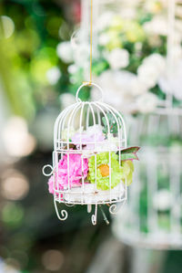 Close-up of hand holding ice cream hanging outdoors