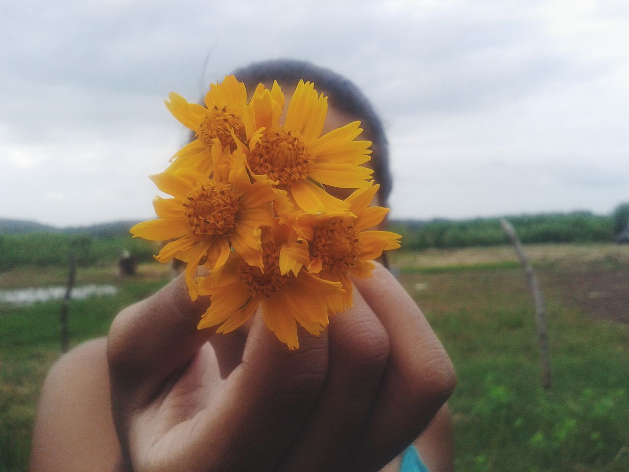 flower, person, holding, yellow, fragility, focus on foreground, freshness, part of, petal, flower head, cropped, unrecognizable person, beauty in nature, human finger, personal perspective, lifestyles, close-up