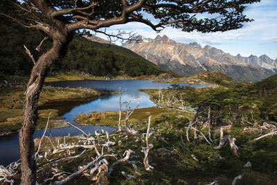 Scenic view of lake and mountains against sky