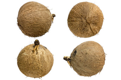 High angle view of fruits against white background