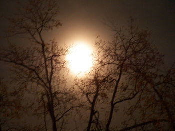 Low angle view of bare trees against sky at sunset