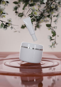 Close-up of white potted plant on table