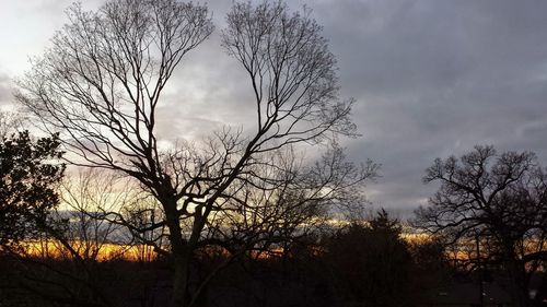 Low angle view of silhouette bare trees against sky at sunset
