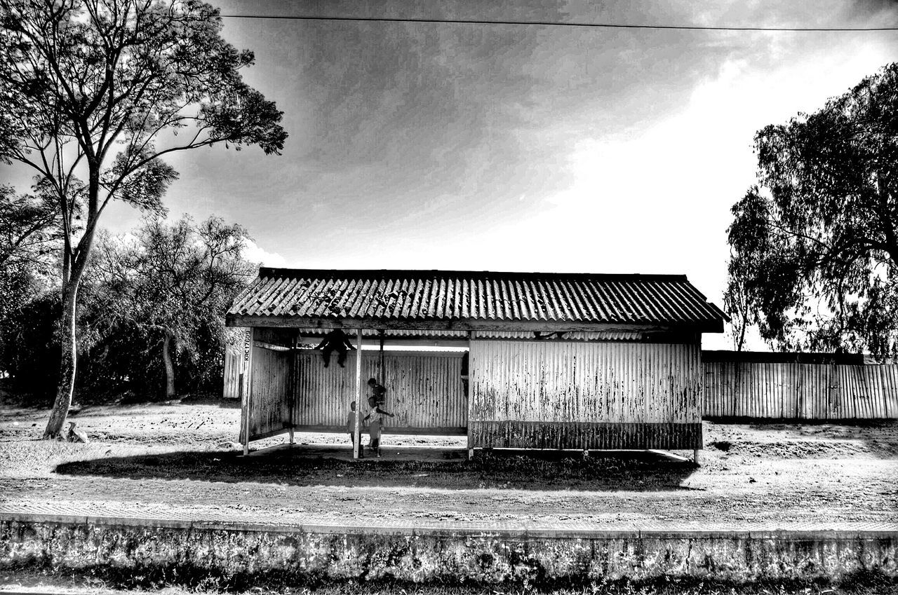 architecture, sky, built structure, tree, building exterior, cloud - sky, house, field, rural scene, cloud, cloudy, nature, outdoors, no people, barn, landscape, growth, day, grass, abandoned