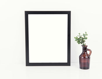 Potted plant in vase against white background