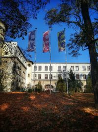 Low angle view of trees and buildings against blue sky