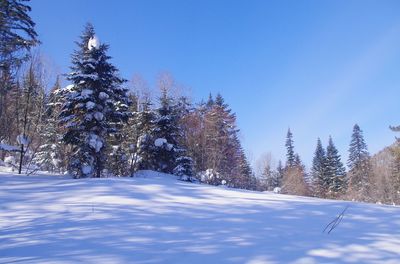 Snow covered landscape