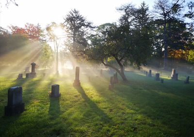 View of cross in cemetery against sky