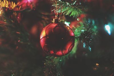 Close-up of christmas tree