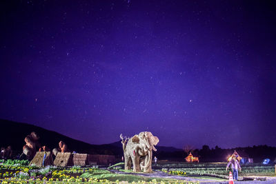 Group of people on field against sky at night