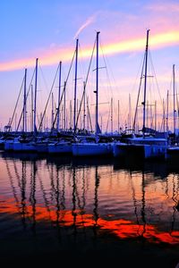 Sailboats in marina at sunset