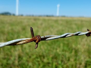 Close-up of barbed wire against sky