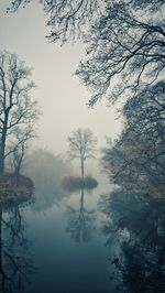 Reflection of trees in lake