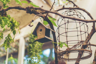 Low angle view of birdhouse hanging on tree