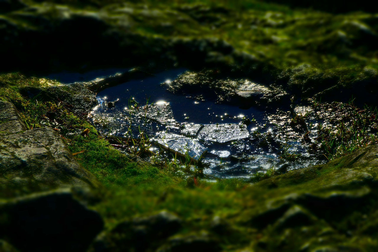 HIGH ANGLE VIEW OF MOSS ON ROCK IN SUNLIGHT