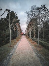 Footpath amidst trees in park against sky