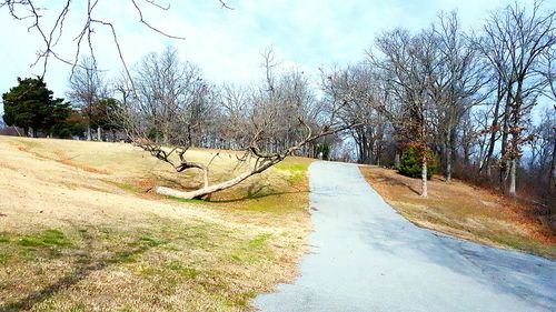 Road passing through landscape