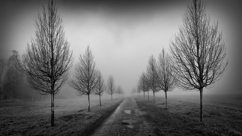 Road amidst bare trees on field against sky