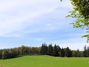 Scenic view of trees on field against sky