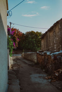 wall