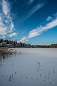 View over frozen lake kulsø, near bryrup, jutland