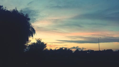 Silhouette of trees at sunset