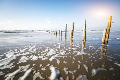 Wooden posts on beach