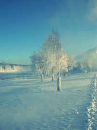 Trees on snow covered landscape against sky