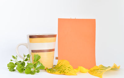 Close-up of coffee cup against white background