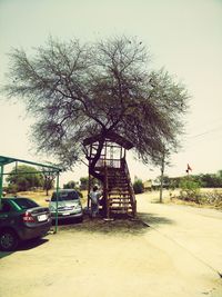 Car on tree against sky