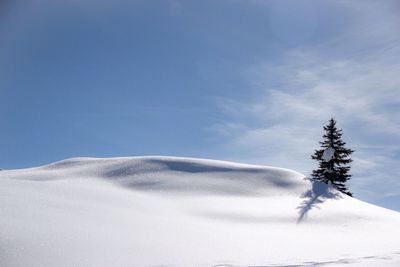 Snow covered field against sky