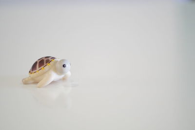 High angle view of a stuffed toy over white background