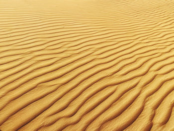 Full frame shot of sand dune