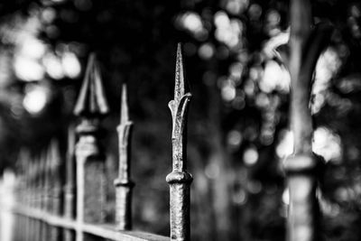 Close-up of barbed wire fence in garden