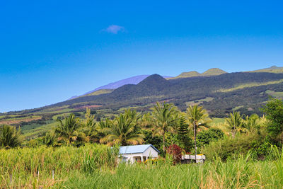 Scenic view of landscape against blue sky