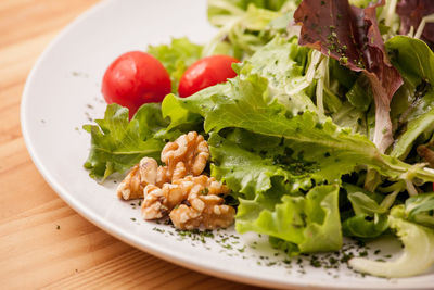 Close-up of salad