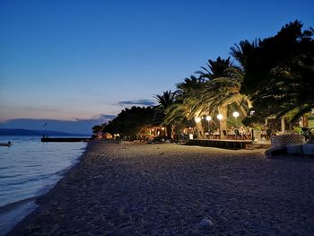 Palm trees by sea against clear sky at sunset