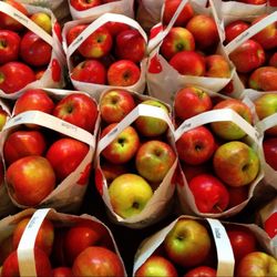 Full frame shot of tomatoes for sale